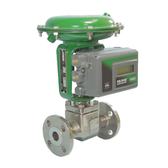 Baumann™ 24000CVF 碳钢和 24000SVF 不锈钢法兰式控制阀